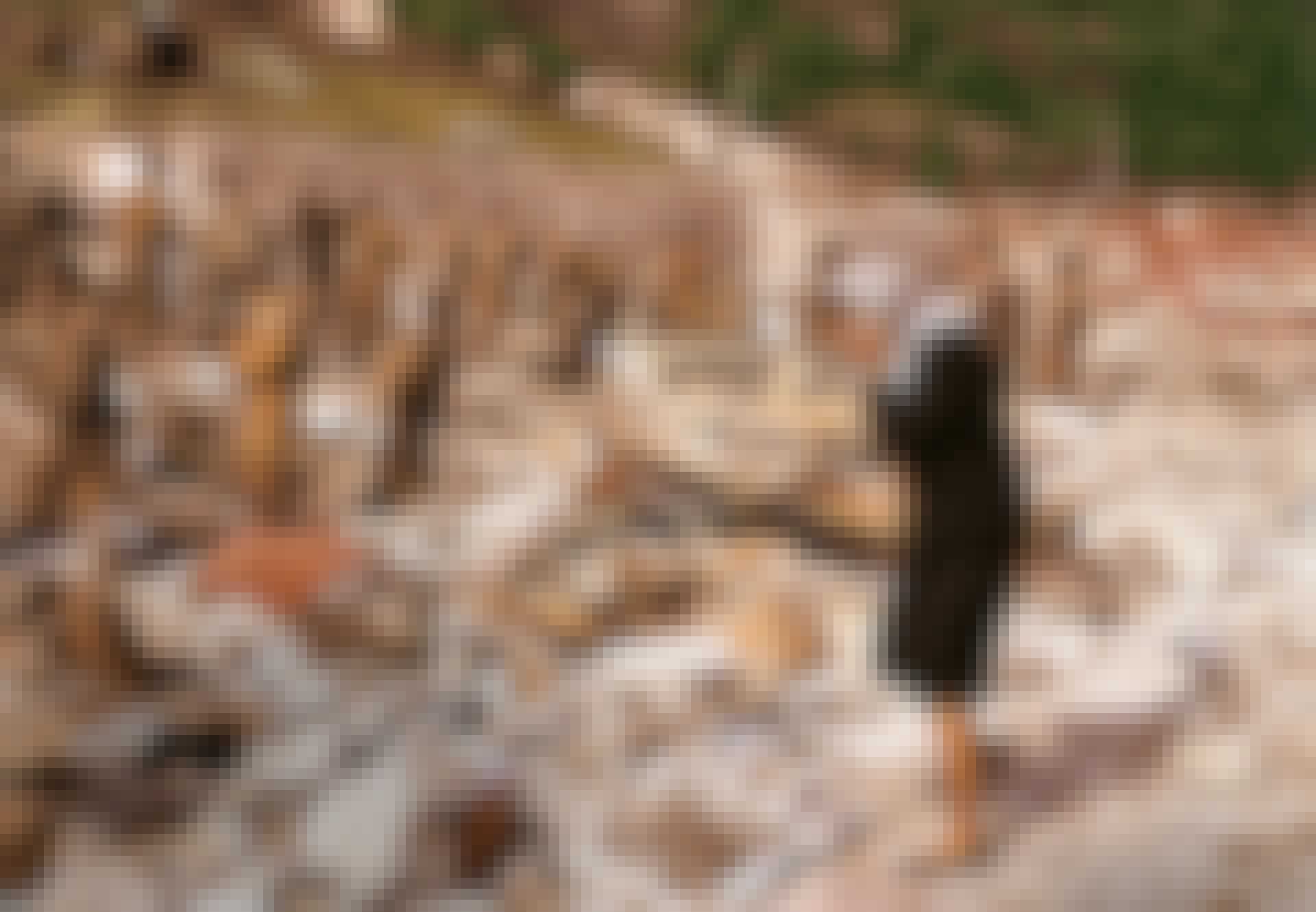 Alperne_teaser_image