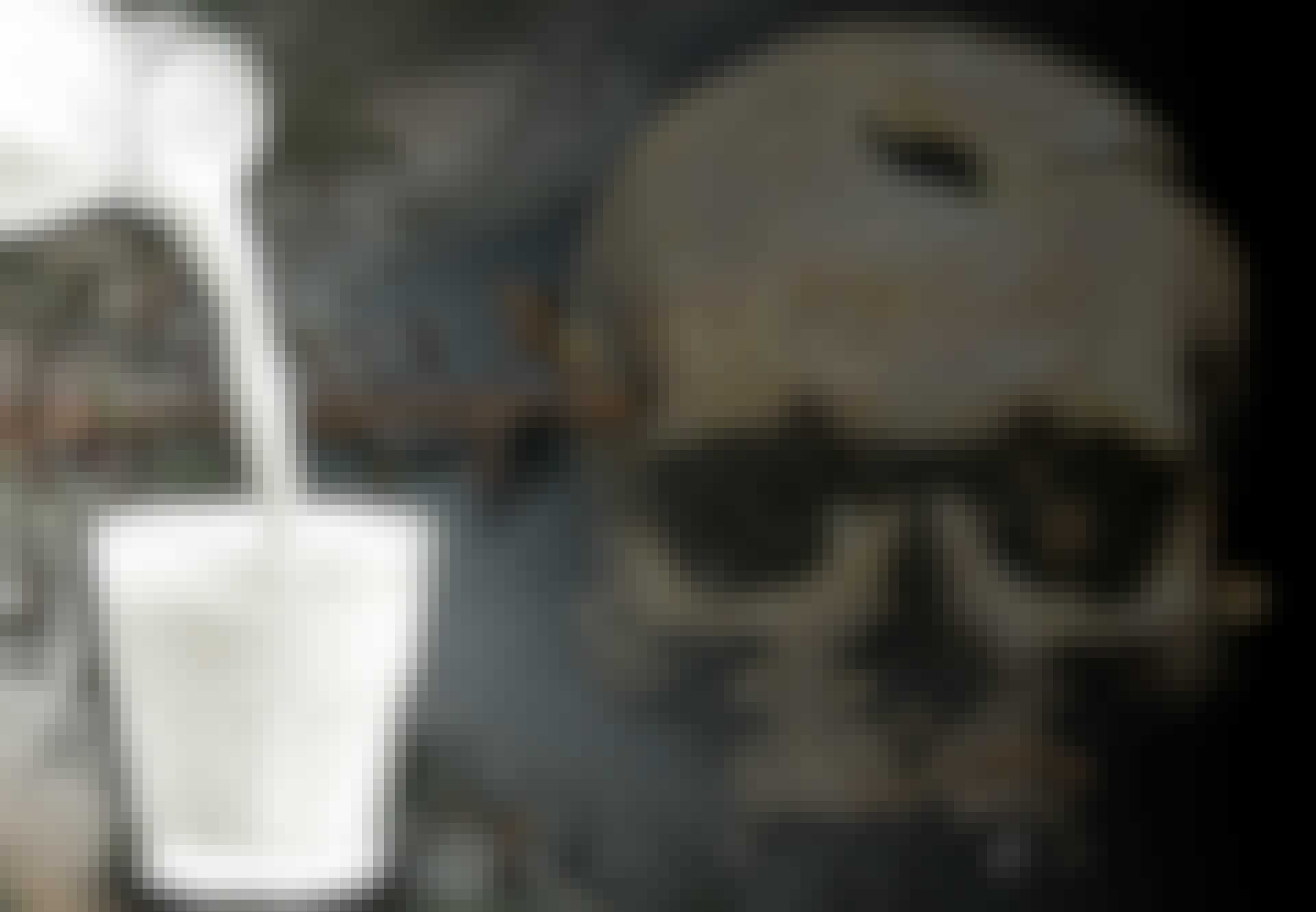 Nyheder_19_mælk_teaser Mælk, Tollense, bronzealder