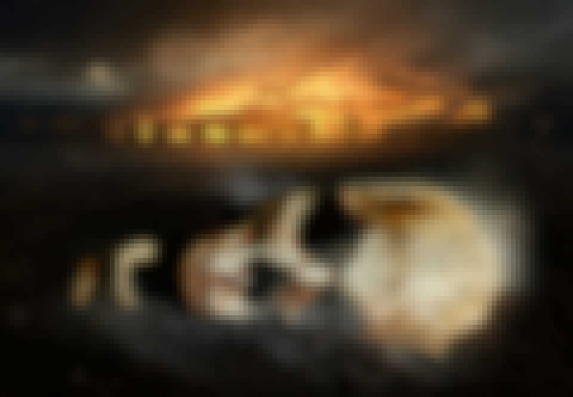 Nyhed_19_Viking_teaser