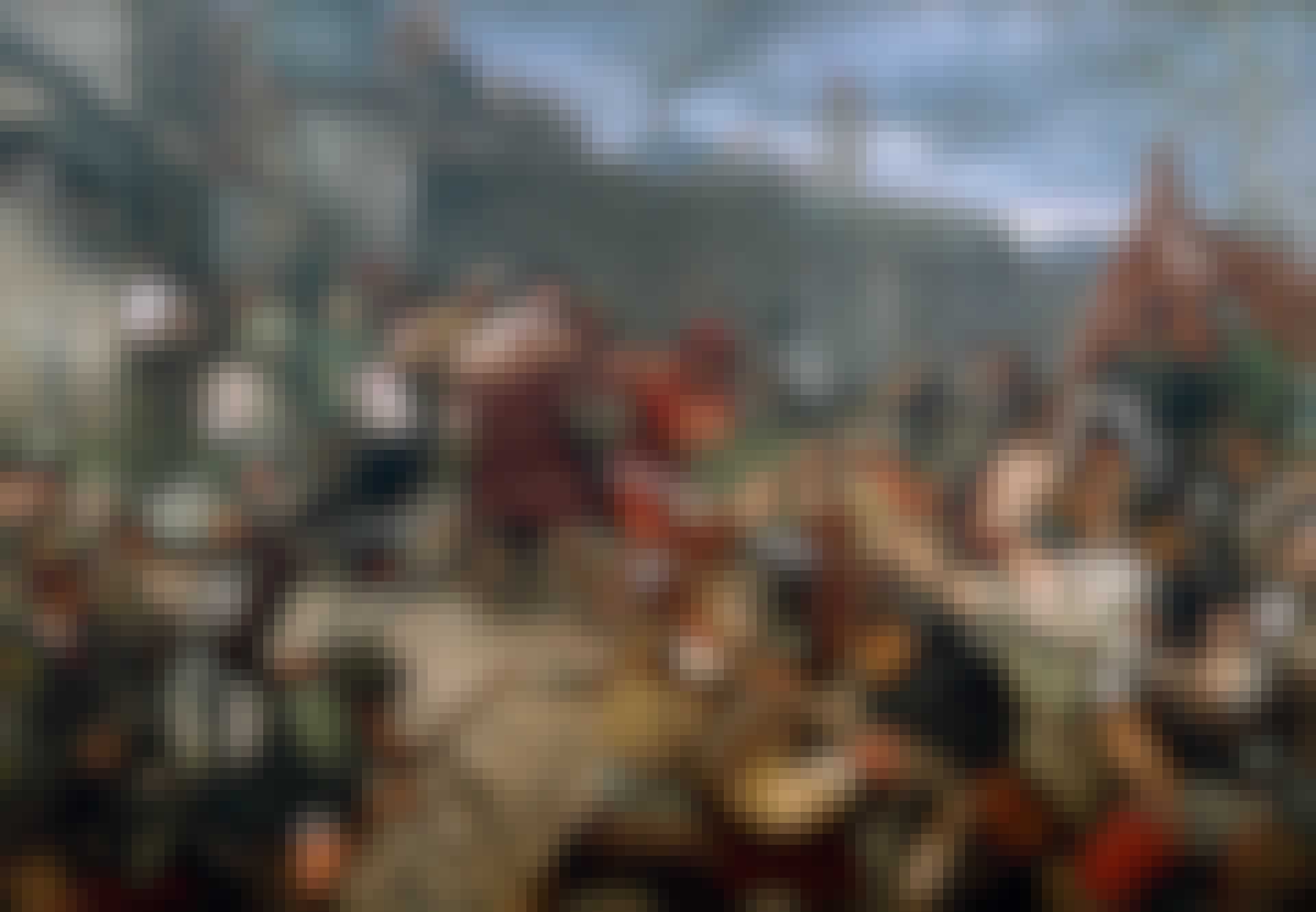 Reformationen_C_lead