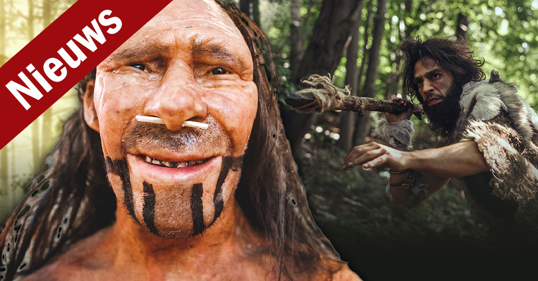 Neanderthalers  Historiek