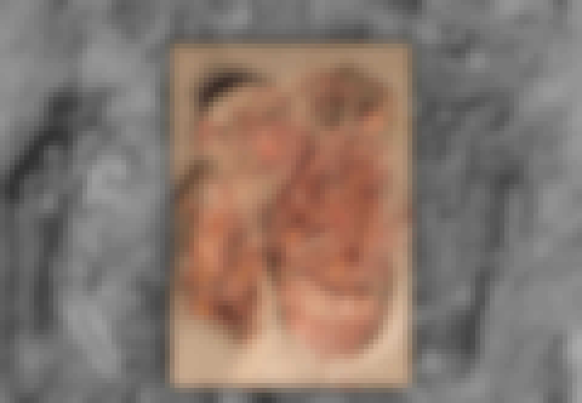 Nyheder04_tvillinger_lead