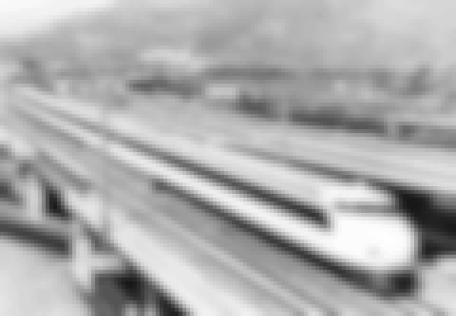 Shinkansen_PIC_0