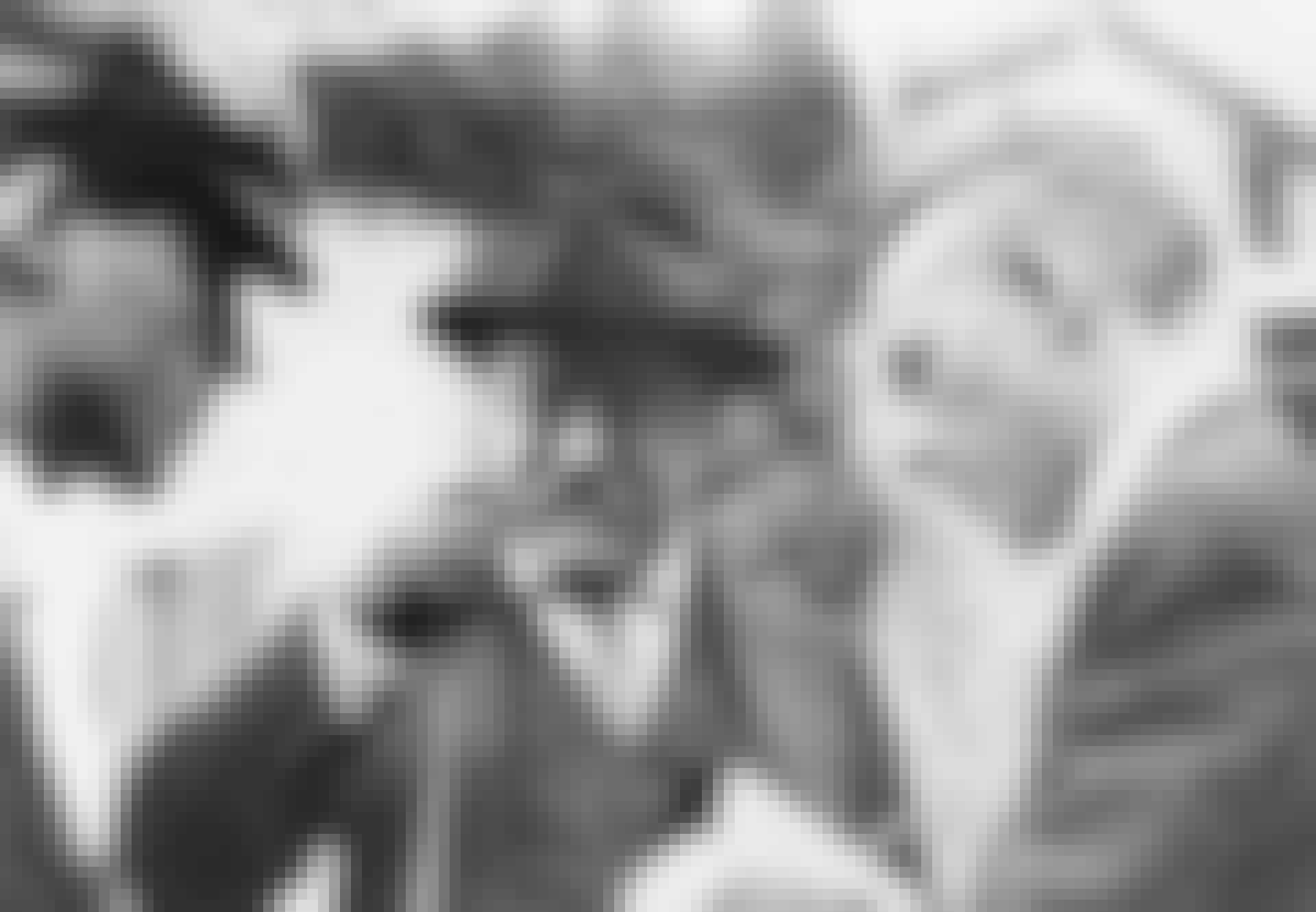 Finurligheder_praesidentdatter_Roosevelt