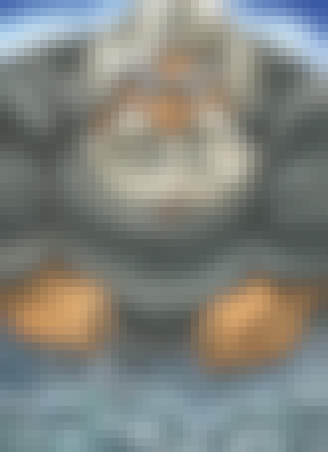 Tegning af den nordiske gud Njord Tegning af den nordiske gud Njord