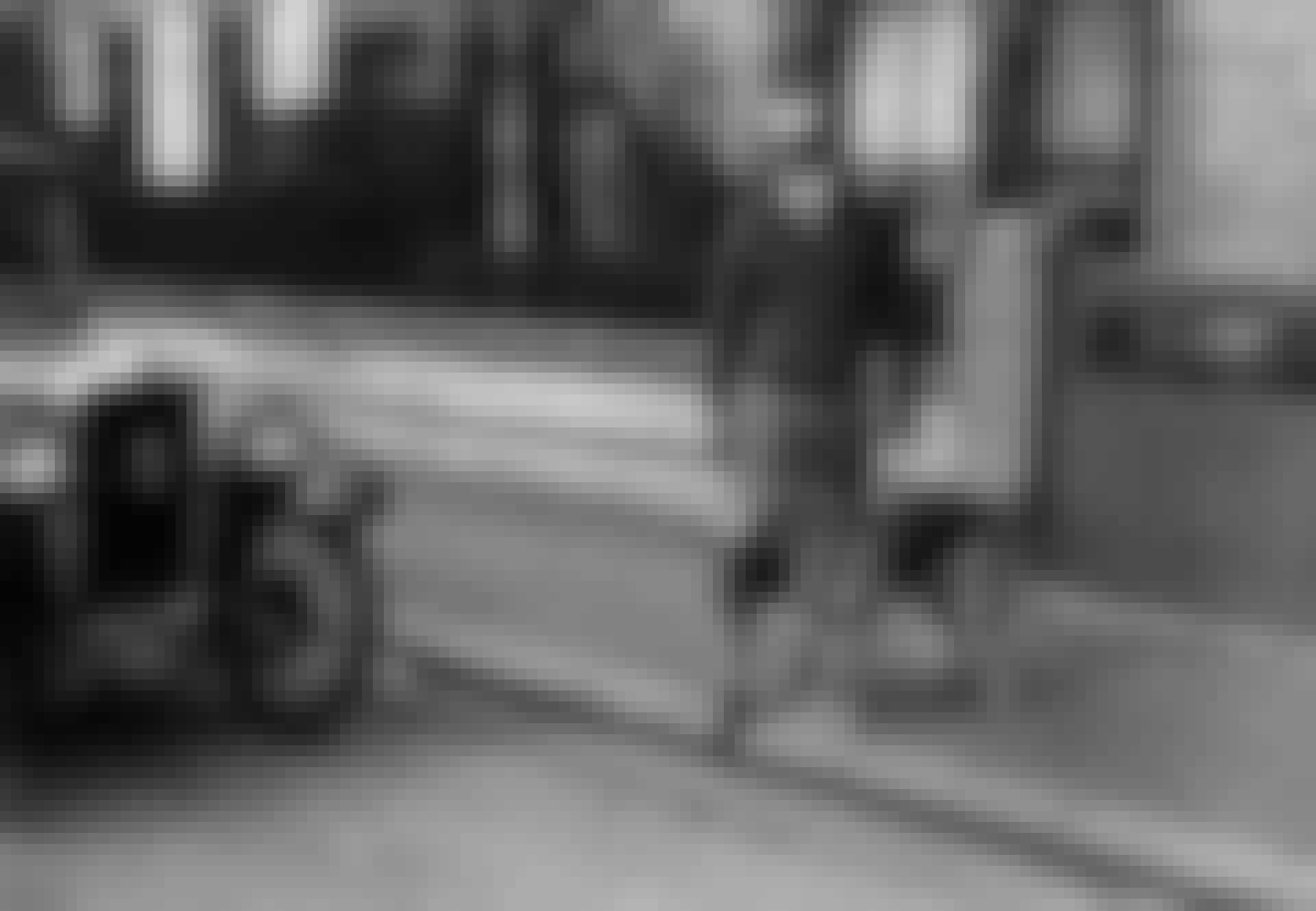 Spoerg05-foererhund-teaser