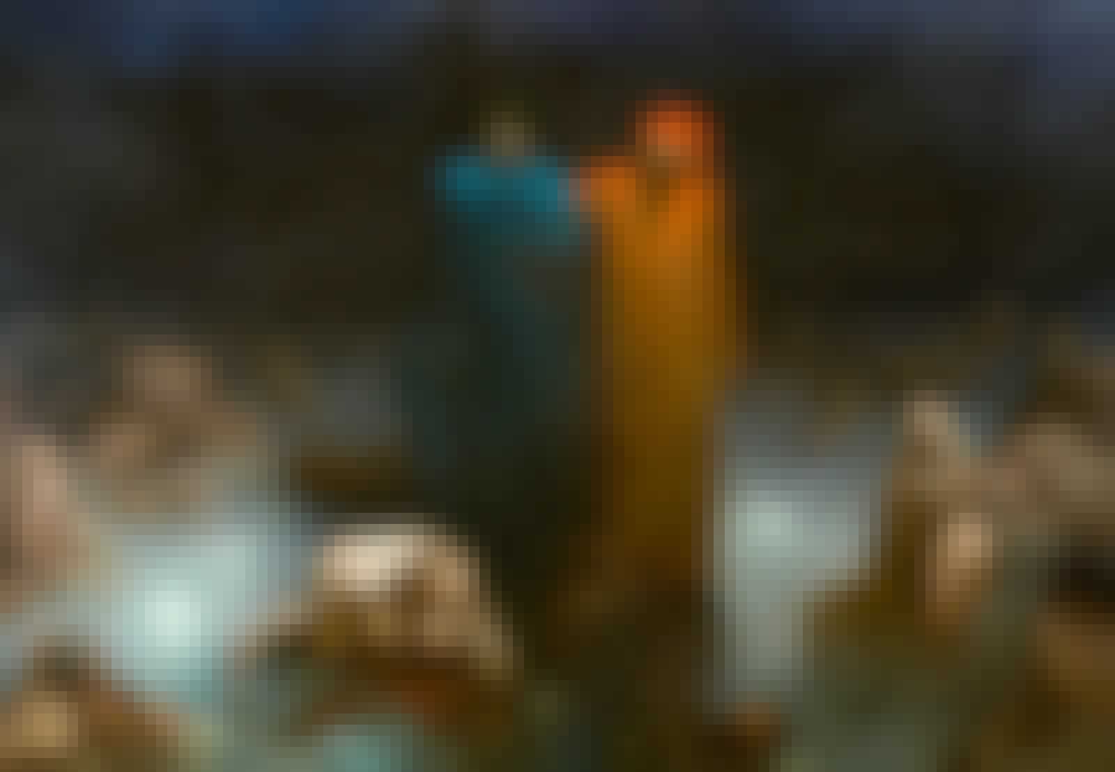 Dante og Vergil i Helvedets niende cirkel Dante og Vergil i Helvedets niende cirkel