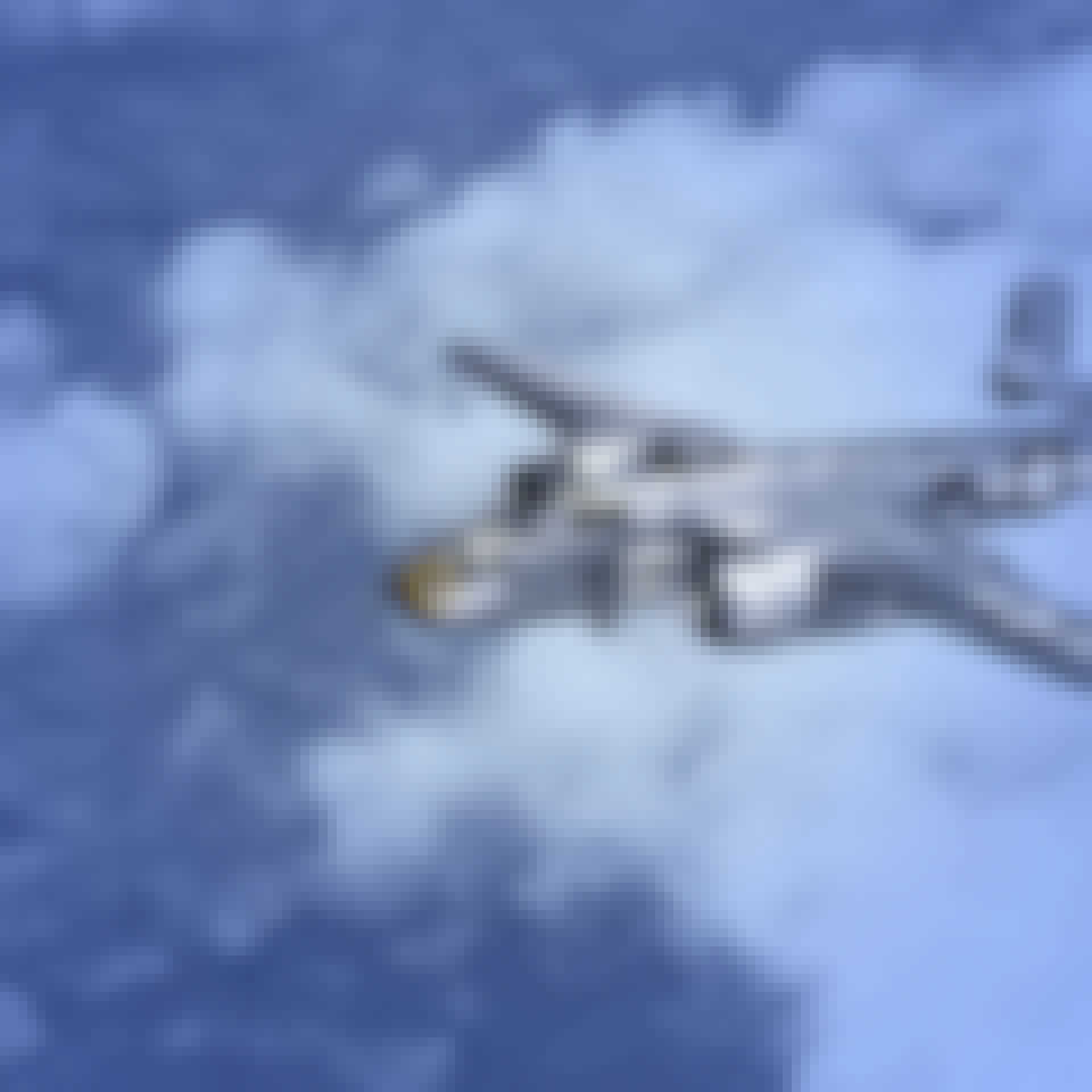 Doolittle_parallax_2 Doolittle_parallax_2