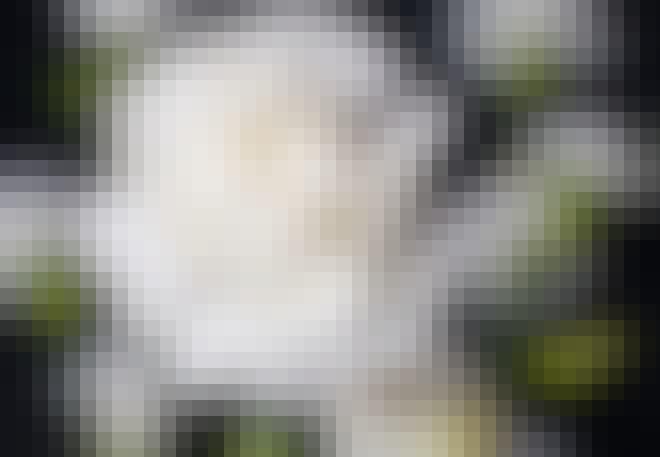 Witte anjer Witte anjer