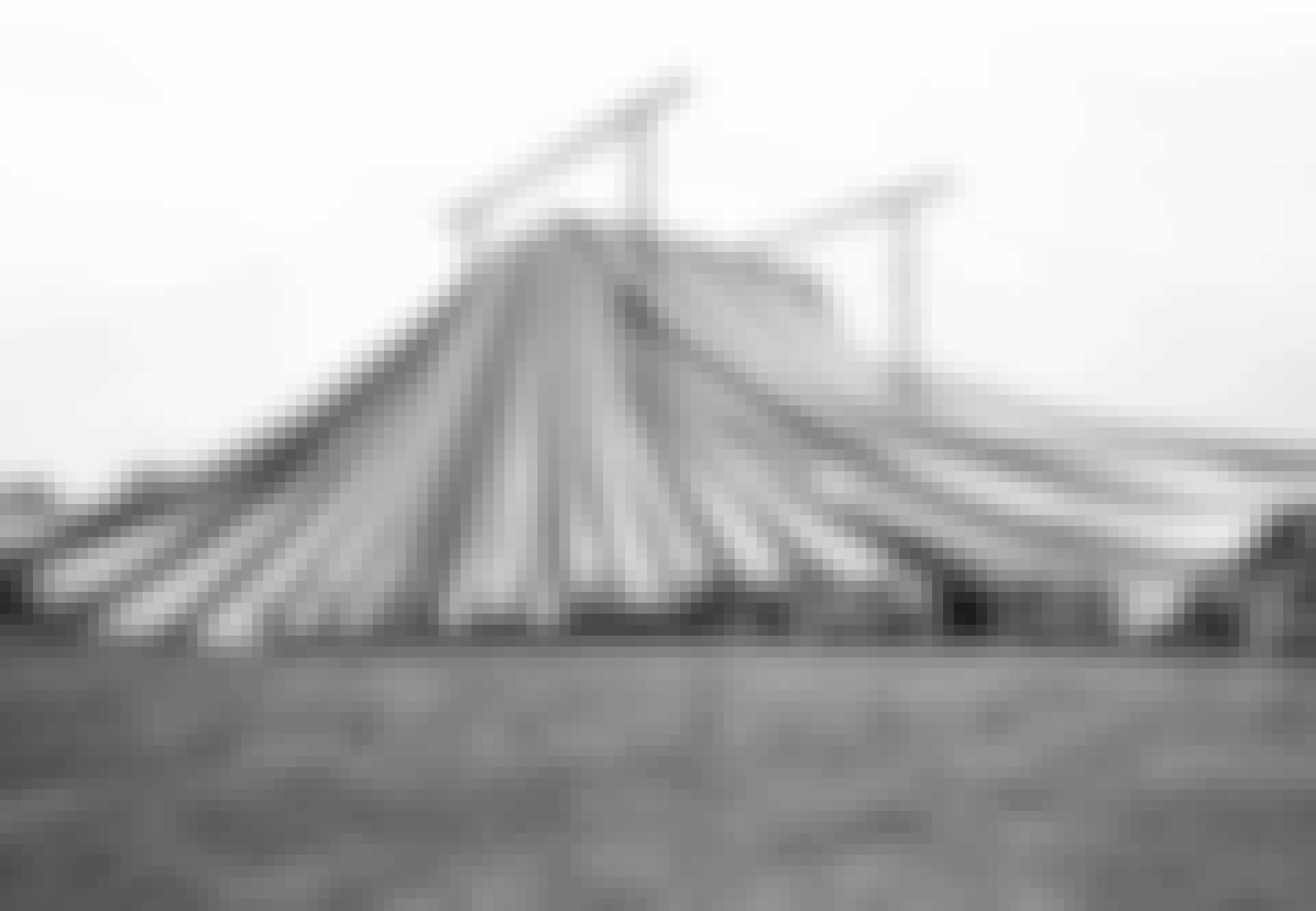 kamelpige_lead2