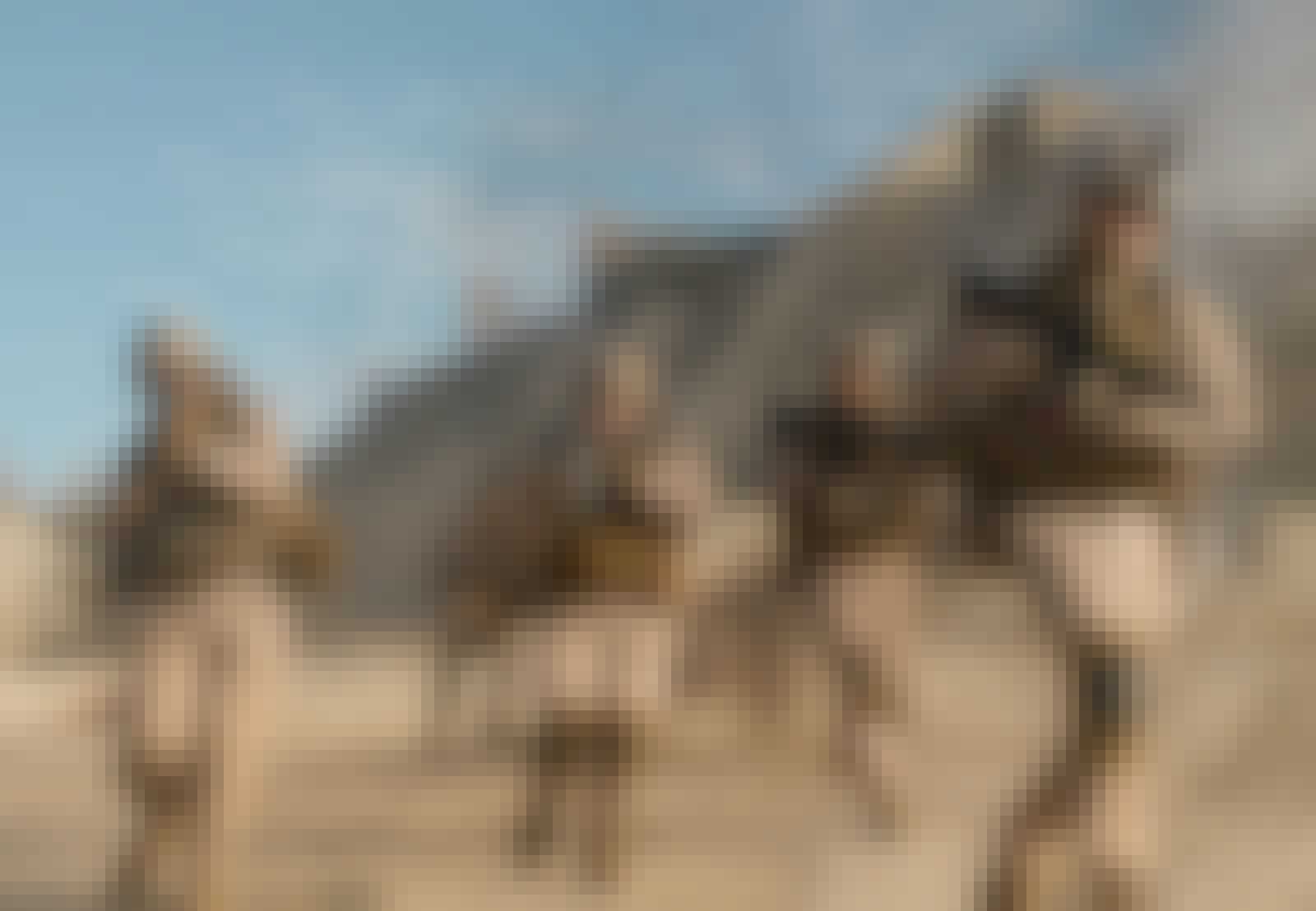 Amerikanske tropper i Afghanistan Amerikanske tropper i Afghanistan