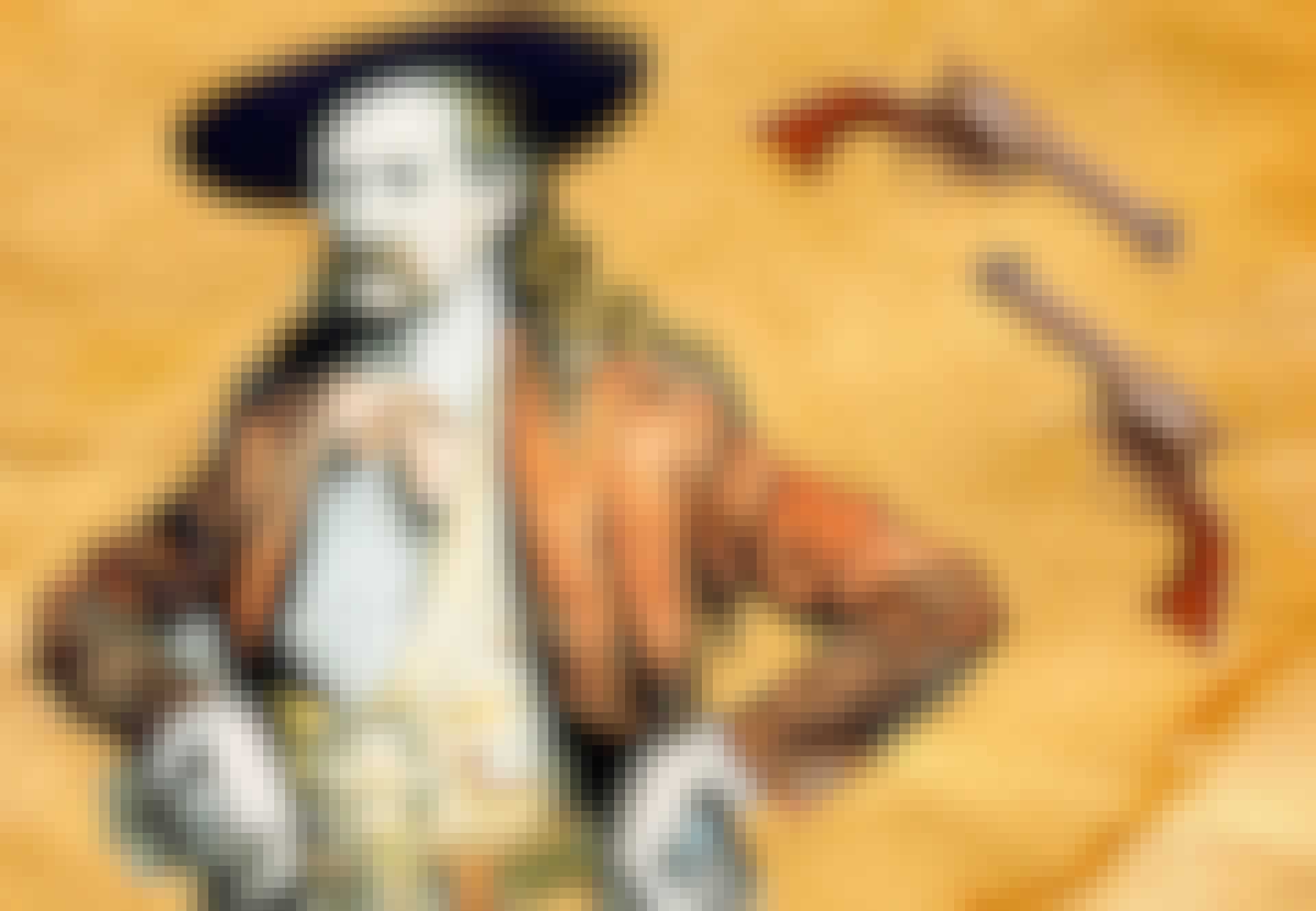 top_NY - Sheriffen skød på det hele James Butler Hickok