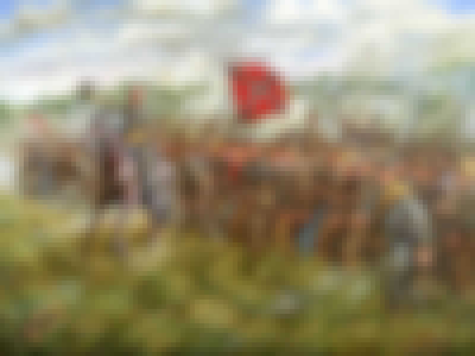 Robert E. Lee fører hæren an Robert E. Lee fører hæren an