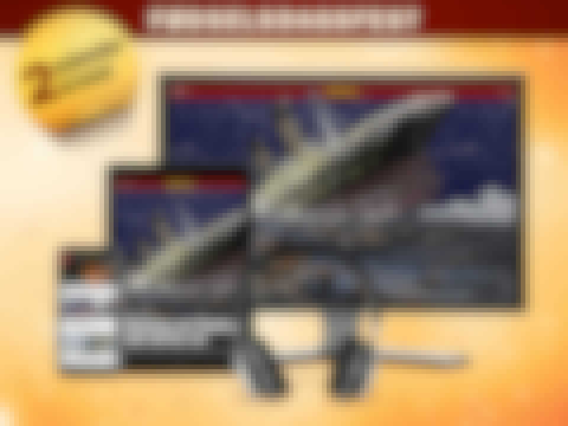 HIS_web_shop_2aar_DK-1