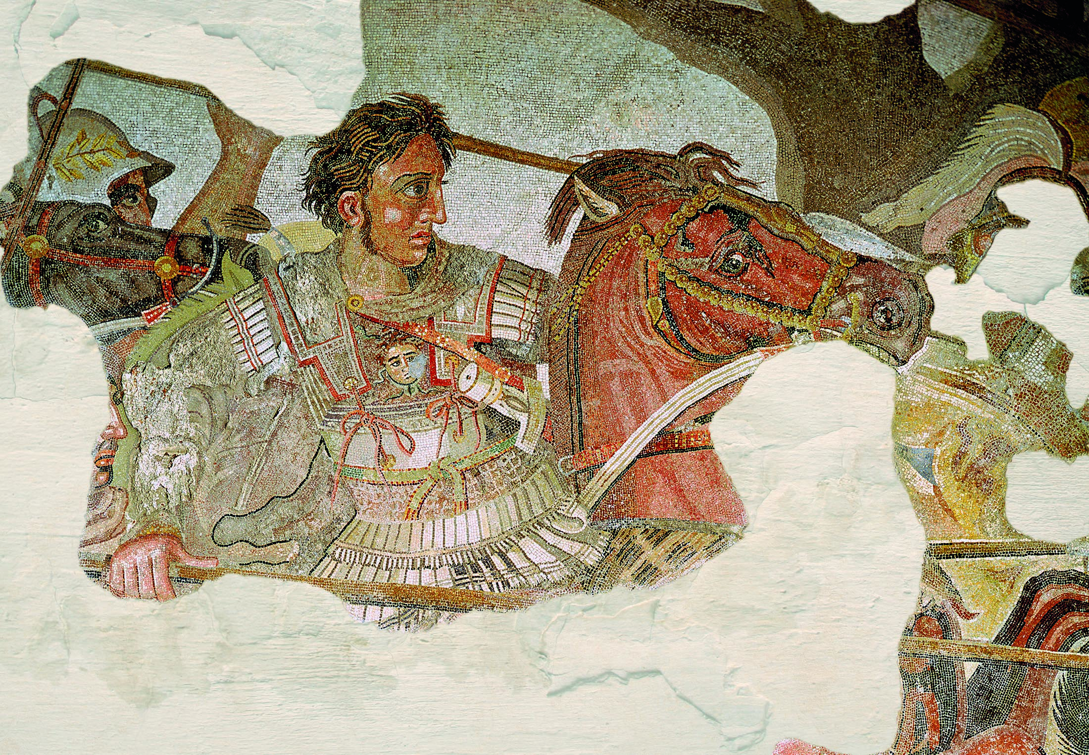 Битва помпея. Битва помпея и цезаря в греции. Битва помпея. Битва помпея. Дом фавна помпеи мозаика.