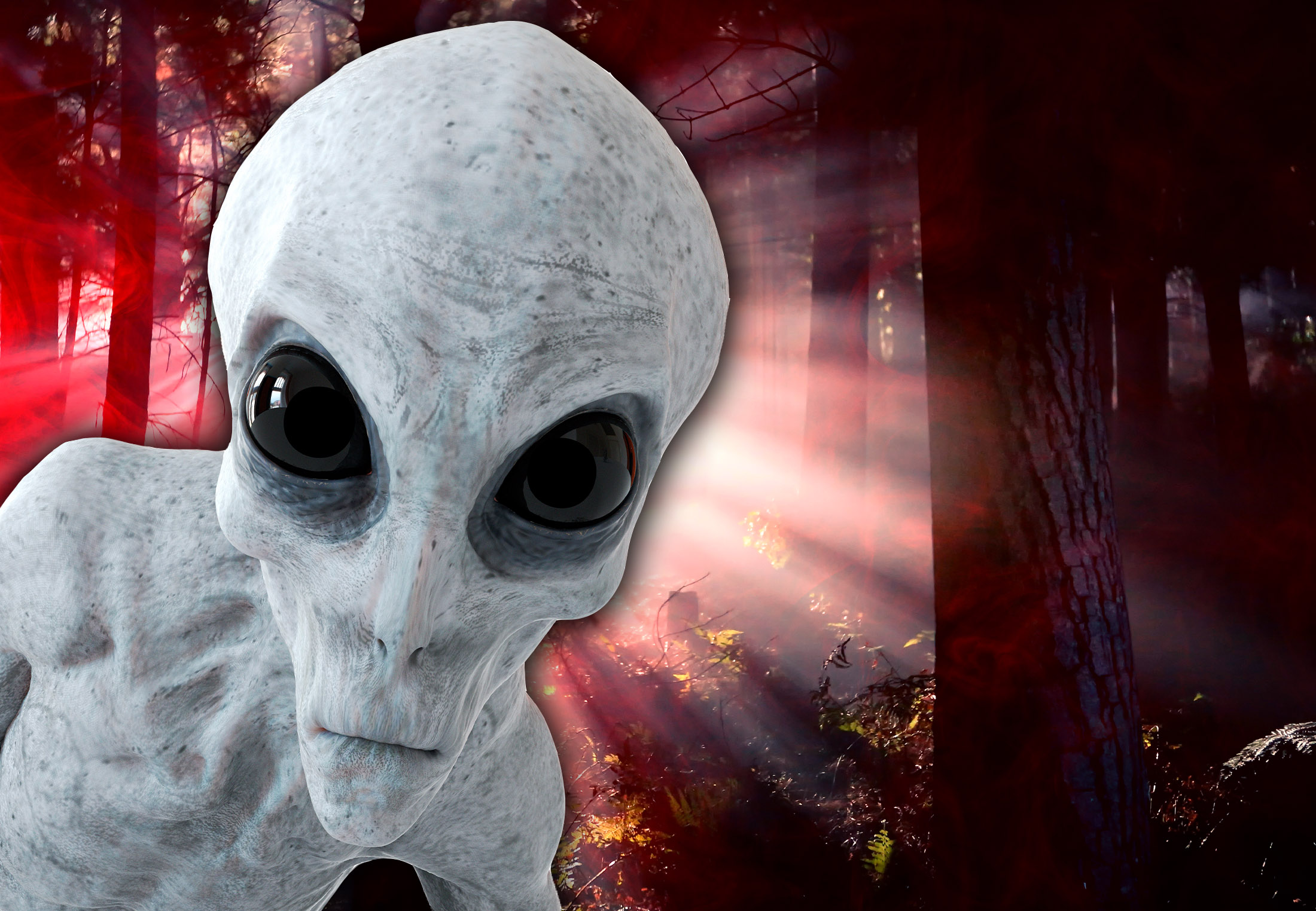 Geschiedenis Kanaal Aliens Man Haar Evolutie Alien T Shirt Etsy
