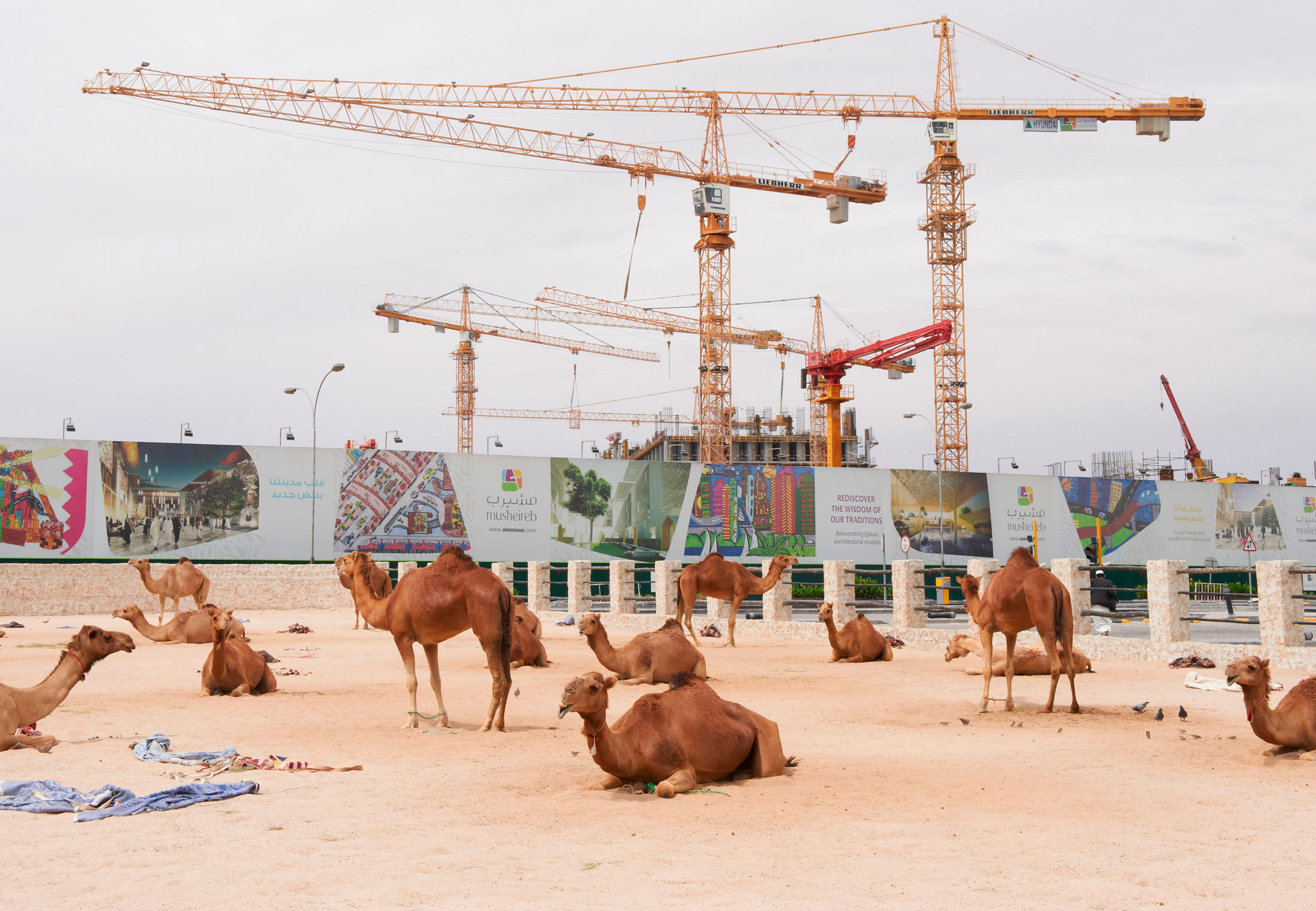 Zo belangrijk is Qatar als handelspartner voor Nederland