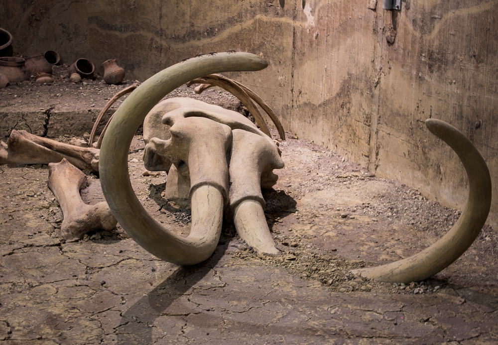 Neandertalere tilberedte krabber som gourmetkokker | historienet.no