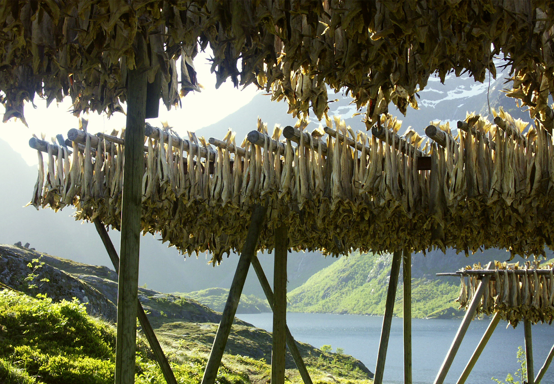 ukrain porno osmirlar xxx galereyasi yosh