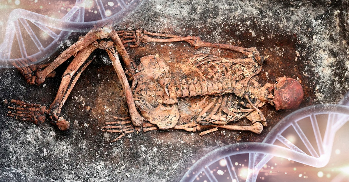 Ricerca massiccia sul DNA: gli Jamna dell'Ucraina sono gli antenati dell'Europa Ricerca massiccia sul DNA: gli Jamna dell'Ucraina sono gli antenati dell'Europa