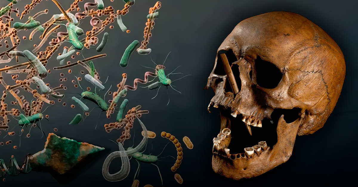 Grazie a buoni geni, i nordeuropei ora hanno la SM Grazie a buoni geni, i nordeuropei ora hanno la SM