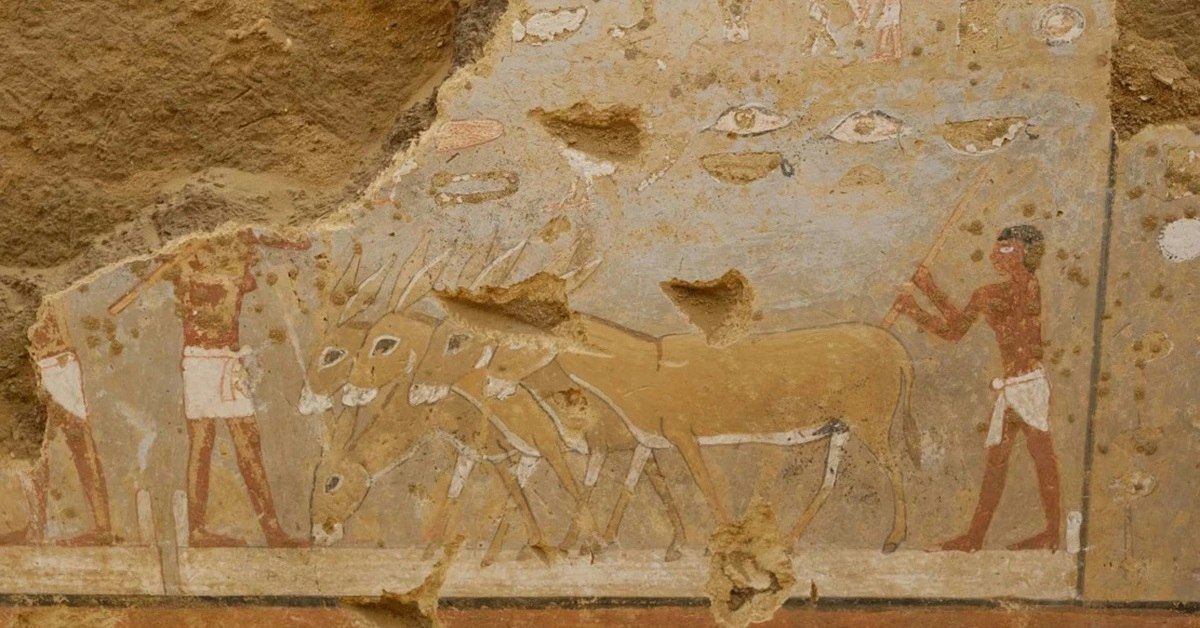 Ylenpalttinen Hauta Paljastaa N in Vaikutusvaltaisia Muinaisen Egyptin ylenpalttinen-hauta-paljastaa-n-in-vaikutusvaltaisia-muinaisen-egyptin