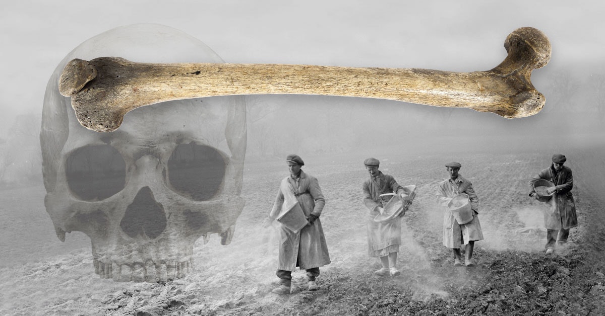 De grote beenderroof: Daarom haalden de Britten overal menselijke skeletten vandaan