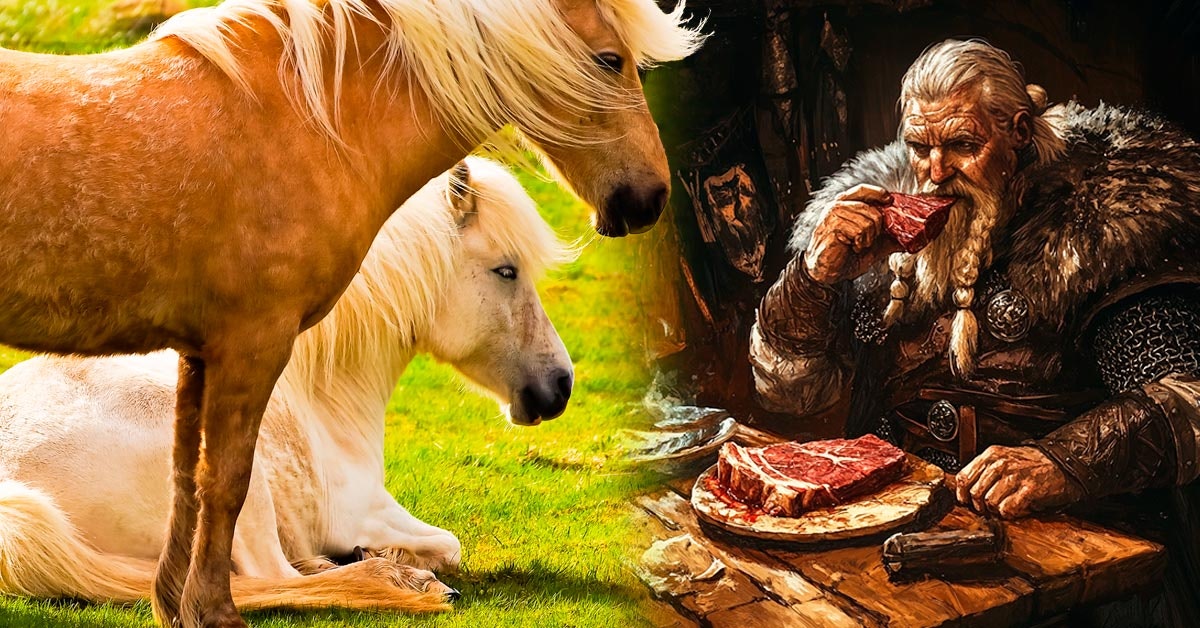 Door de paus stopten Vikingen met het eten van paardenvlees