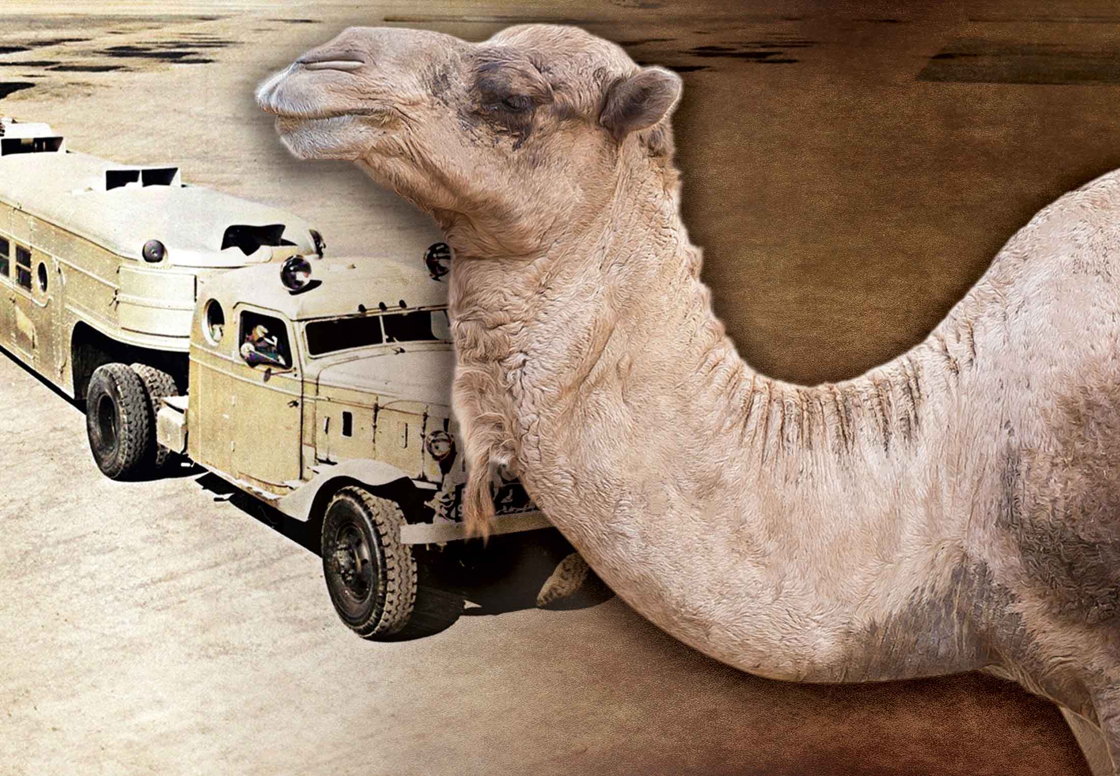 Ogliga massaj qilayotgan onaning porno videosi