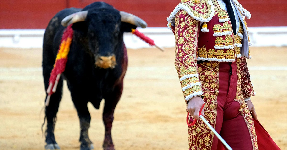 Tyrefægtningens historie: fra antikken til Spanien i dag | historienet.dk