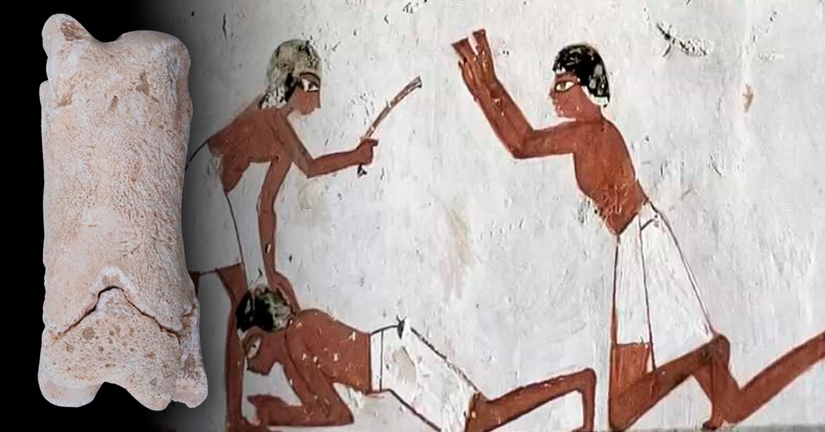 Arkeologit L ysiv t Egyptin Ensimm isen Luupillin Historianet fi arkeologit-l-ysiv-t-egyptin-ensimm-isen-luupillin-historianet-fi