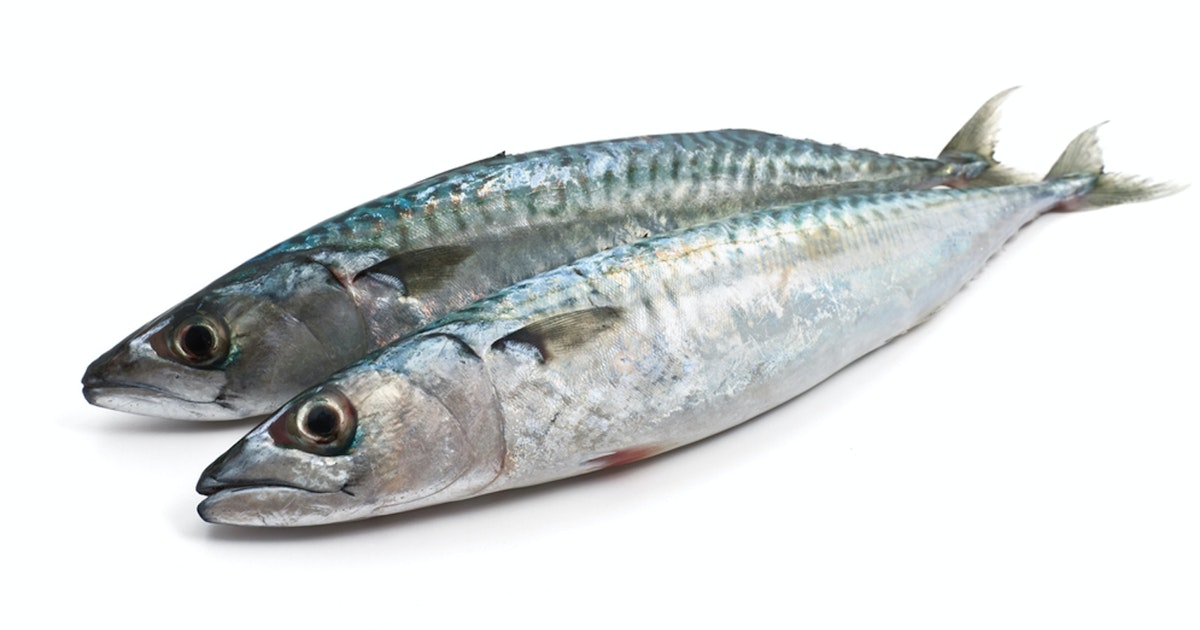 Makrell lindrer støle ømme bein | iform.nu