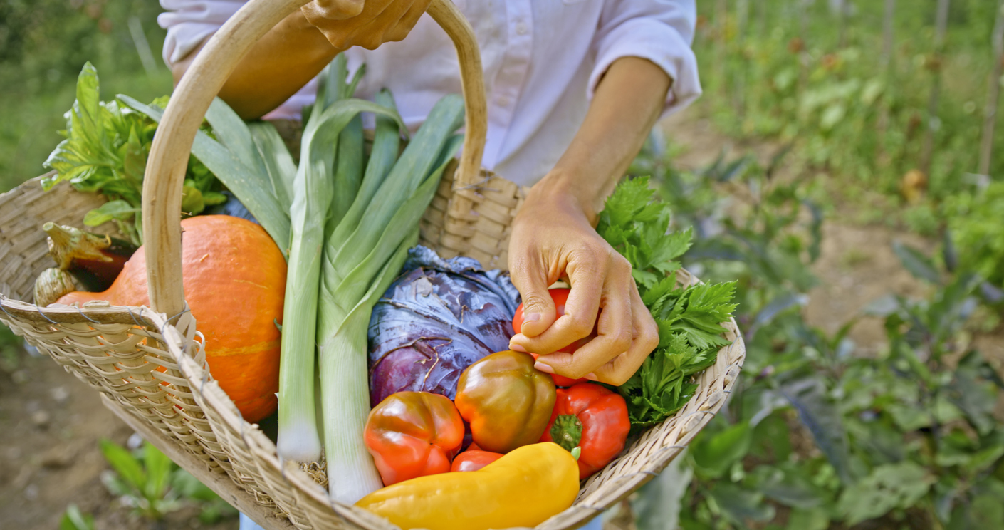 Är Det Egentligen Hälosamt Att Vara Vegan? | Iform.se