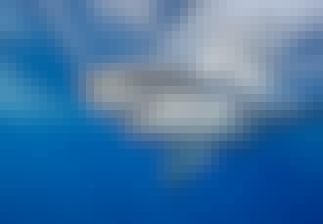 hajar_i_-sverige_vithaj hajar_i_-sverige_vithaj