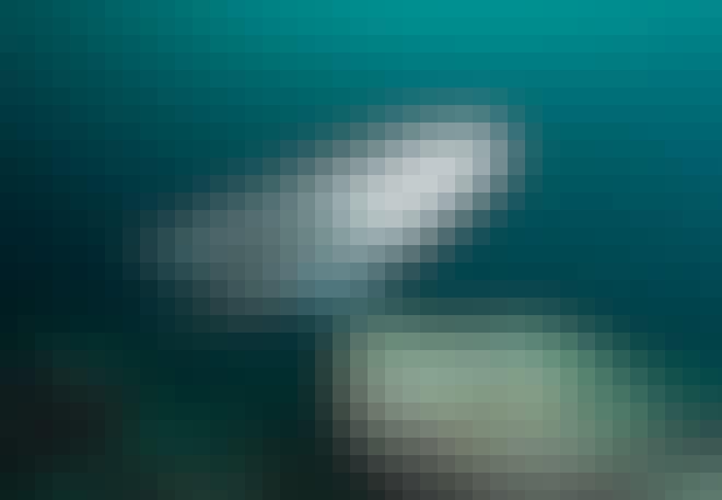 haier_i_norge_piggha haier_i_norge_piggha