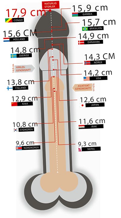 Snoppstorlek i världen Snoppstorlek i världen