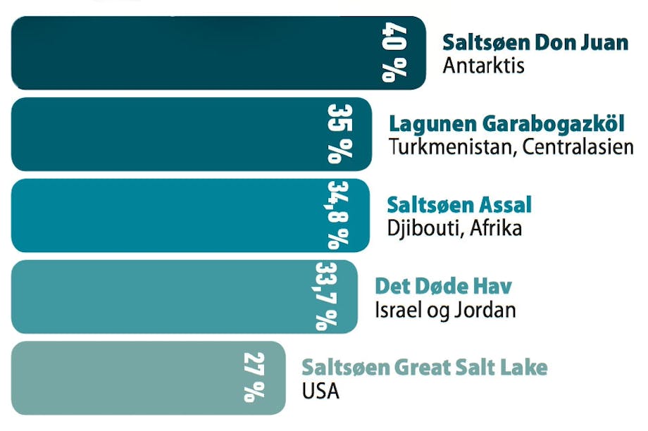 Salt i havet Salt i havet