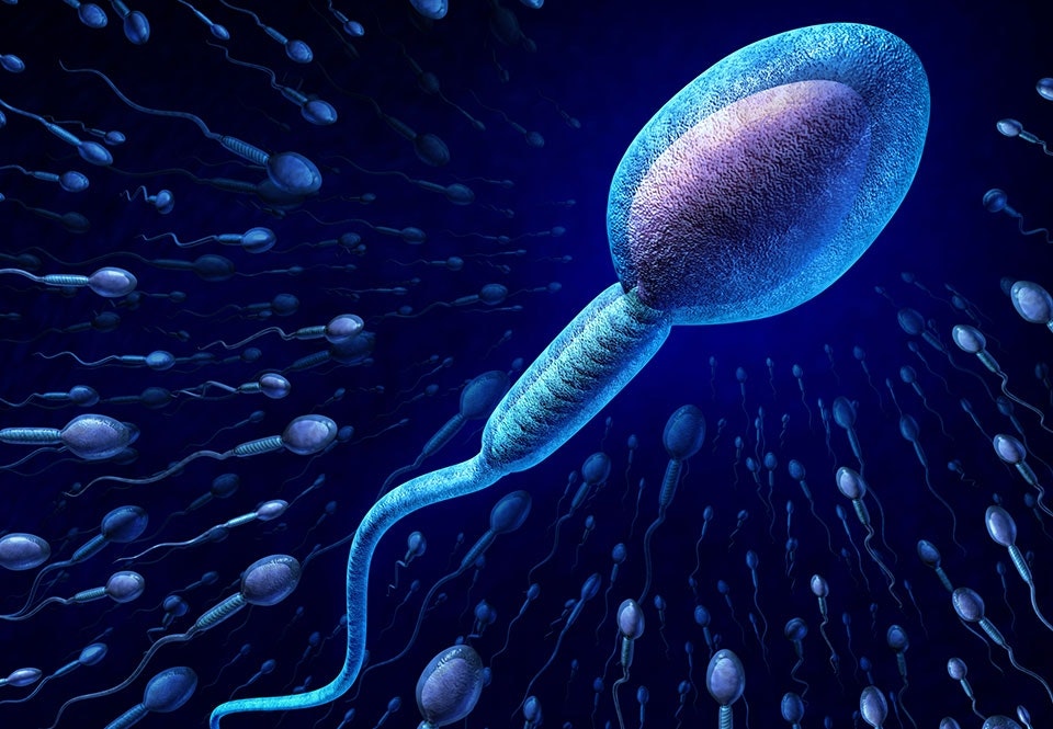 Is sperma gezond of goed voor de huid? | wibnet.nl