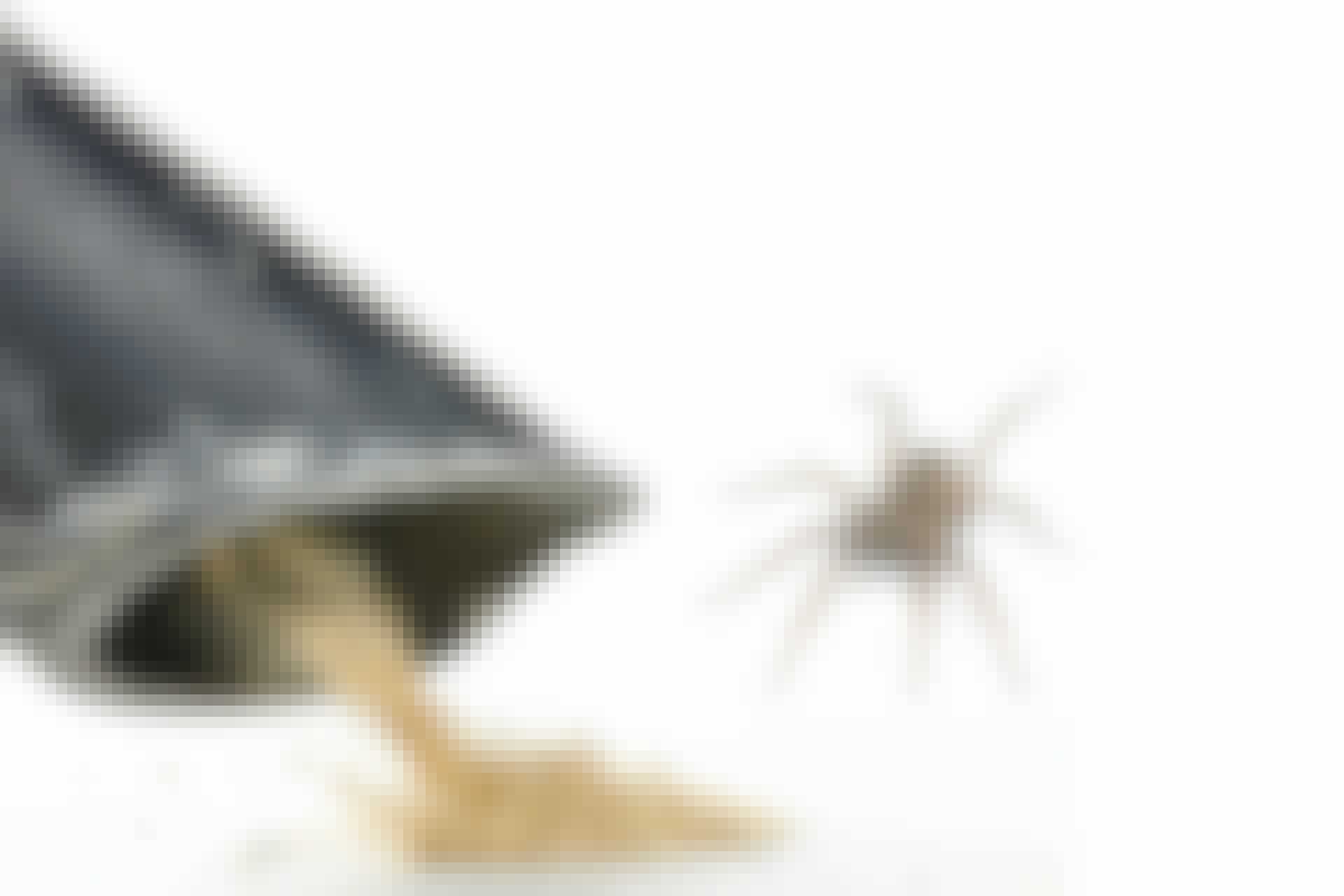 Spider vacuum