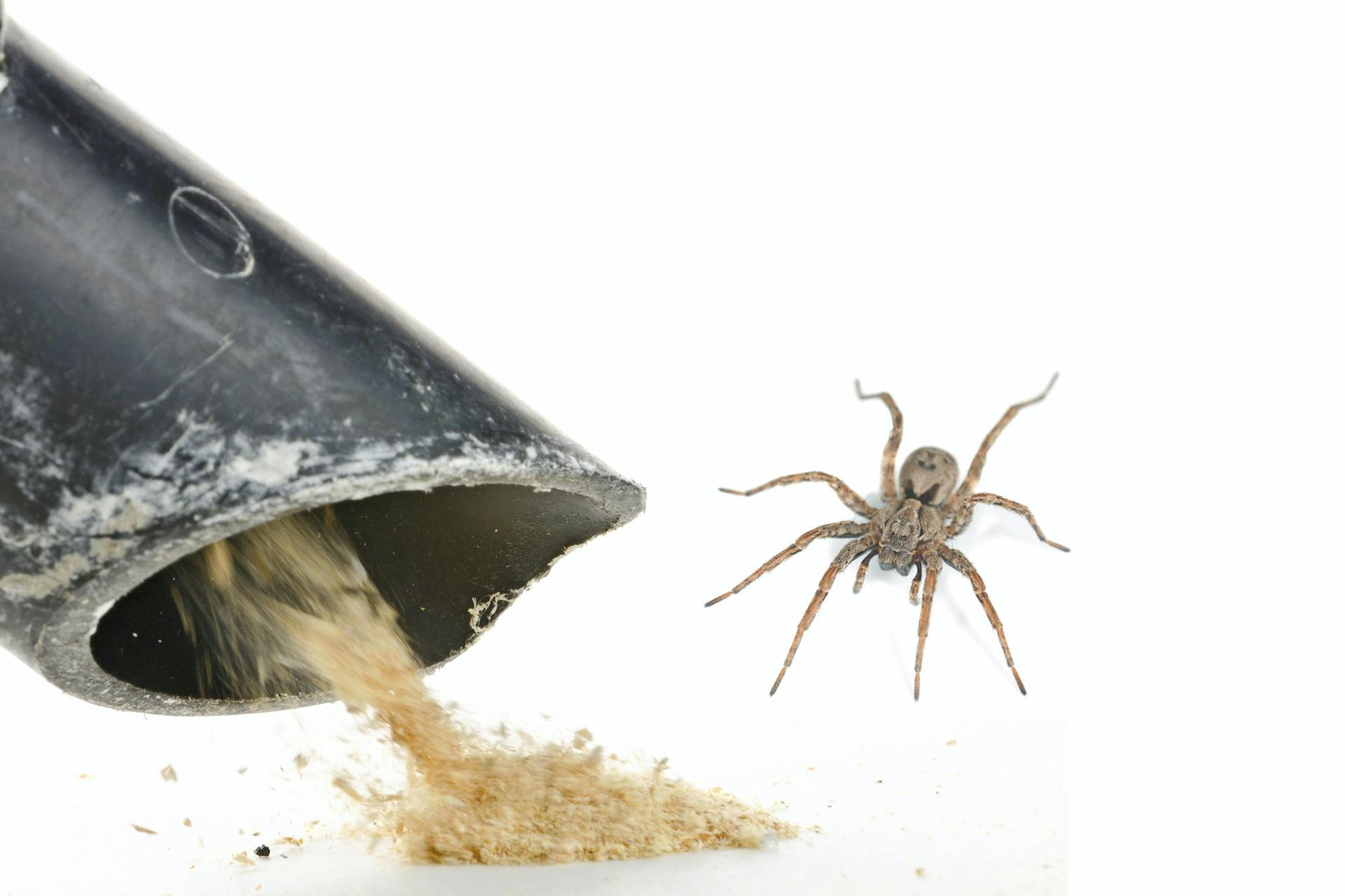 Spider vacuum Spider vacuum