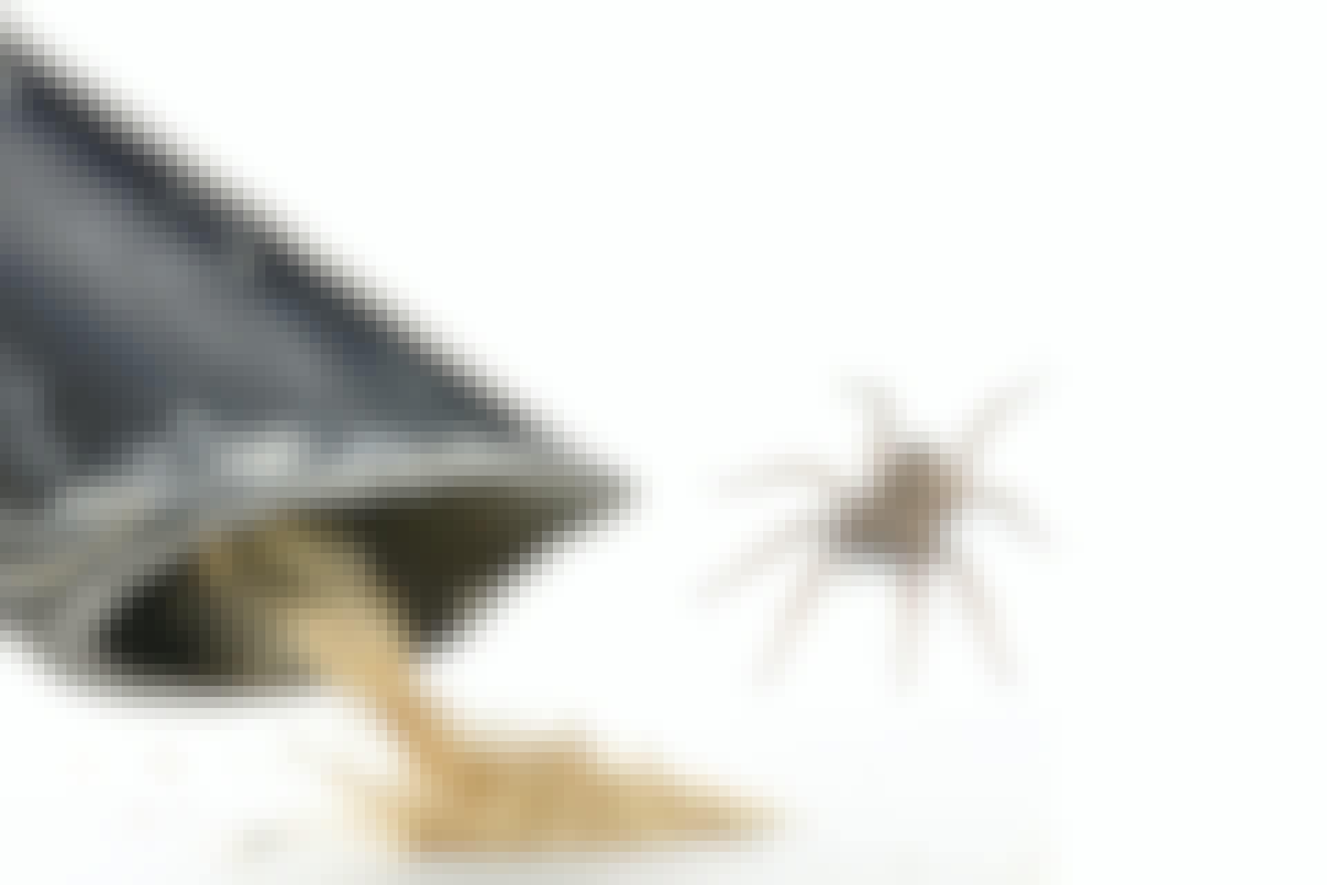 Spider vacuum