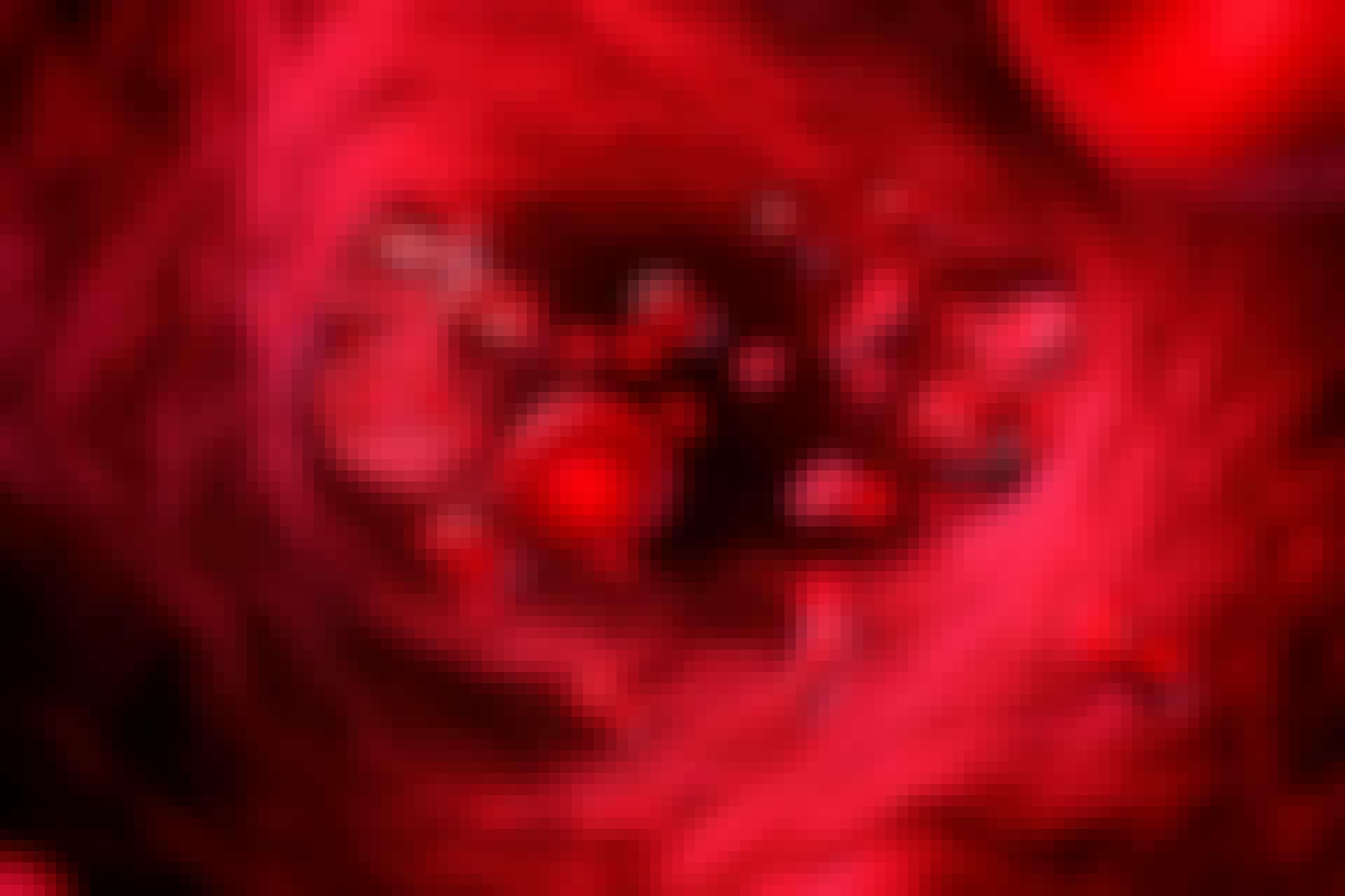 blod bloddråbe blod bloddråbe