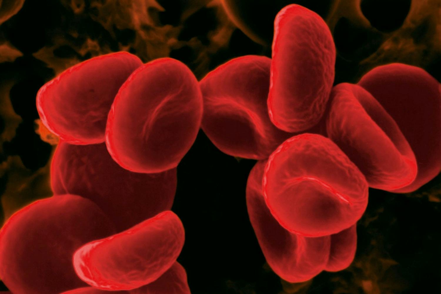 Blood cells Blood cells