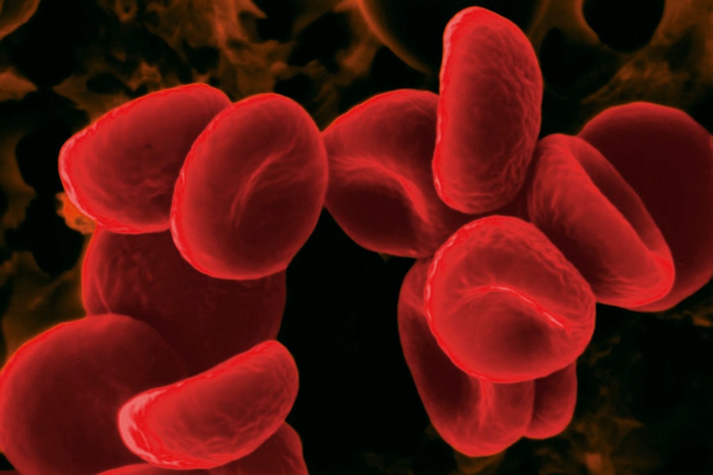 Blood cells Blood cells