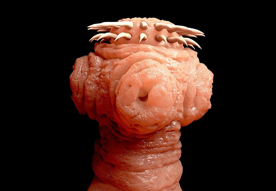 Heisimato Heisimato