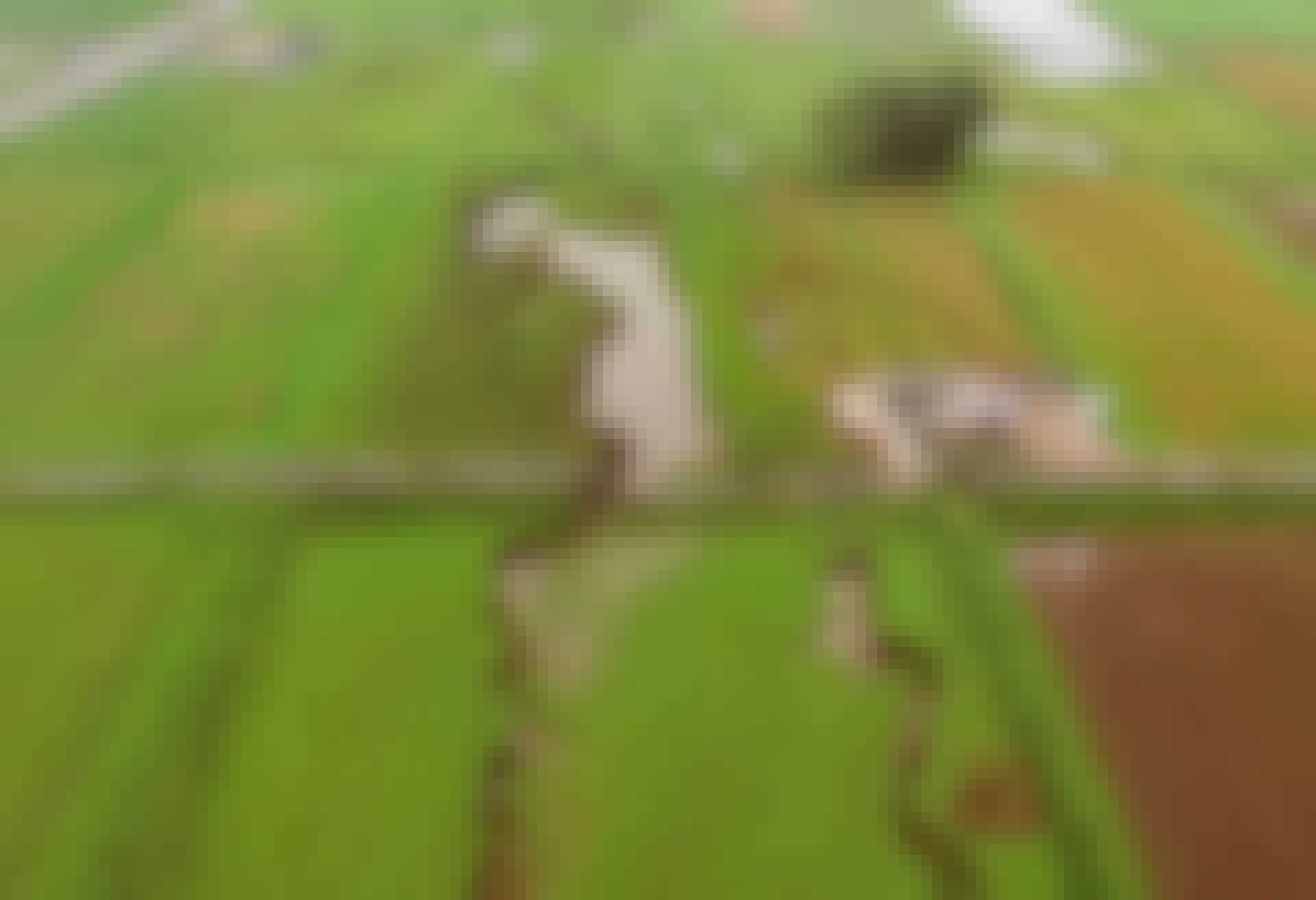 Jordskælv
