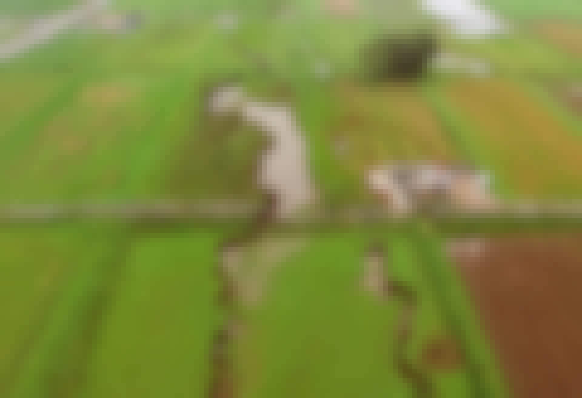 Jordskalv