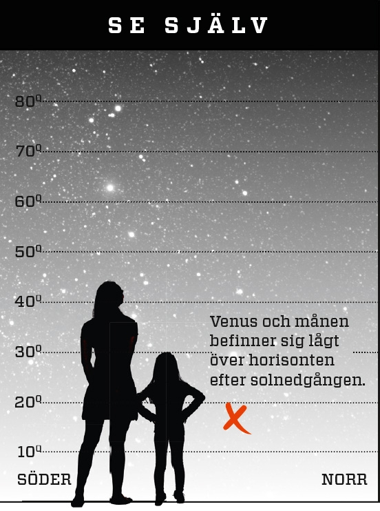 5 stadier av dating mars Venus