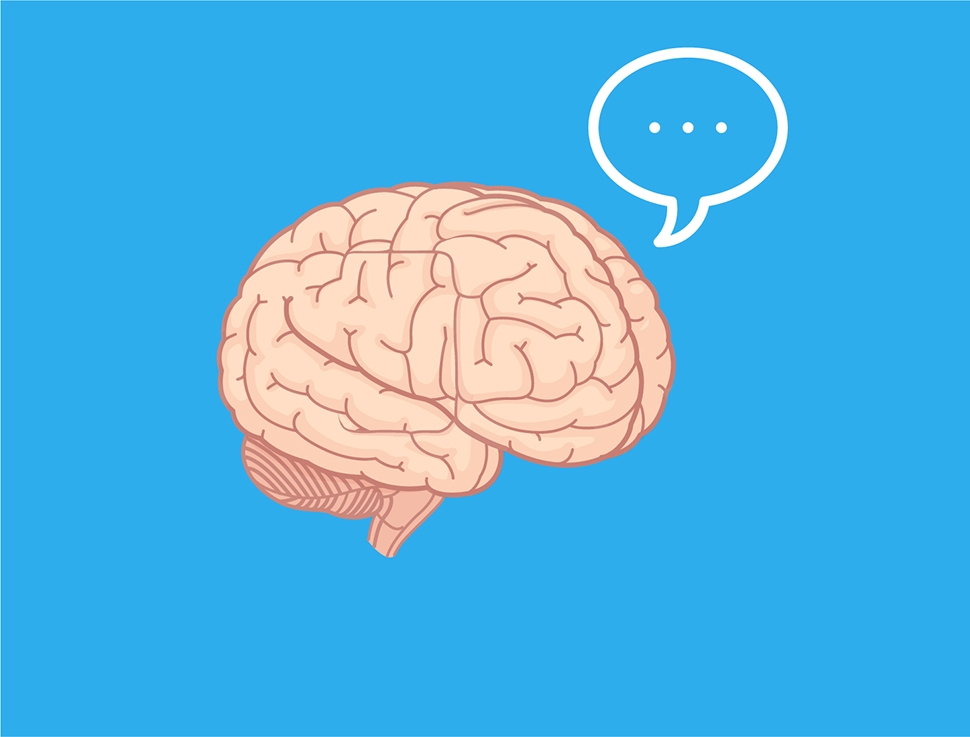 Nämä alueet ohjaavat puhumista.