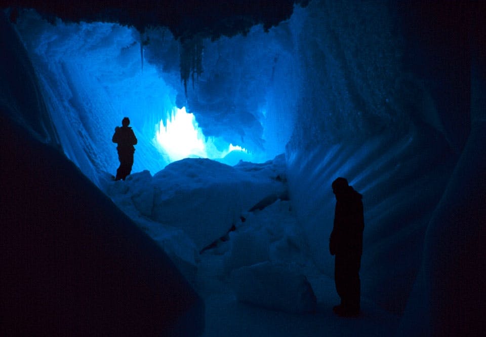 Antarctica Antarctica